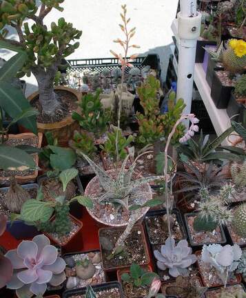  Выставка 03-05.06.2011 на Куликовом поле