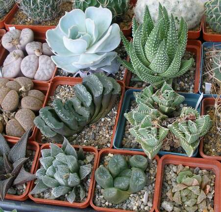  Выставка 03-05.06.2011 на Куликовом поле