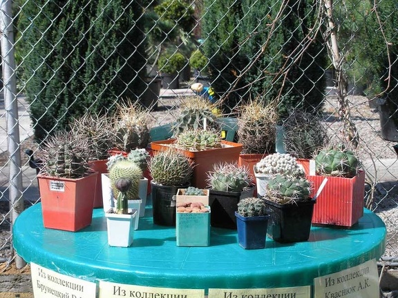 Выставка 29-30 апреля 2006 (Одесса)