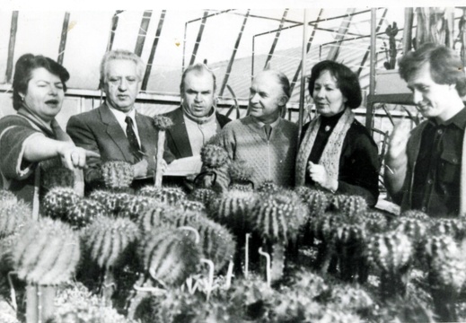 cacti 13 (2340 відвідувань) cacti 13
