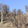 Baja (California) (1797 відвідувань) Фото Стивена Брэка (Steven Brack, Belen, New Mexico)
Baja (California)