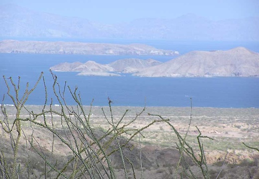 Baja (California) (1781 відвідувань) Фото Стивена Брэка (Steven Brack, Belen, New Mexico)
Baja (California)