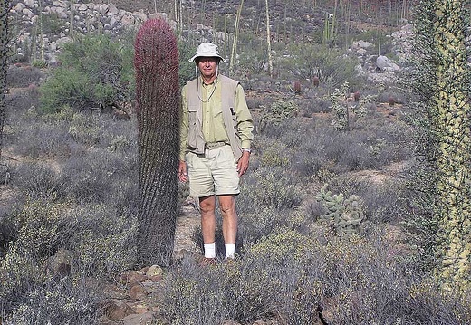 Baja (California) (2258 відвідувань) Фото Стивена Брэка (Steven Brack, Belen, New Mexico)
Baja (California)