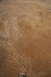 Чили, Аргентина