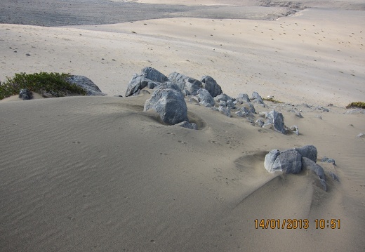 Поездка  Игоря Лавровского в Чили  (январь 2013)