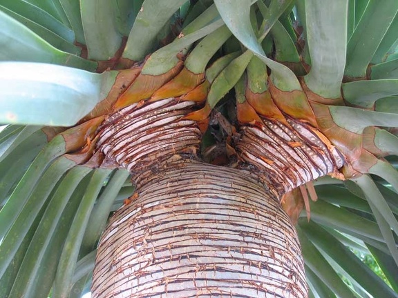 IMG 3482 copy (3912 відвідувань) IMG 3482 copy