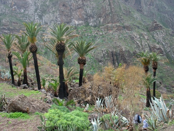 Остров Тенерифе