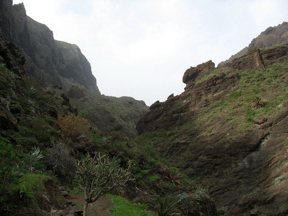 Остров Тенерифе