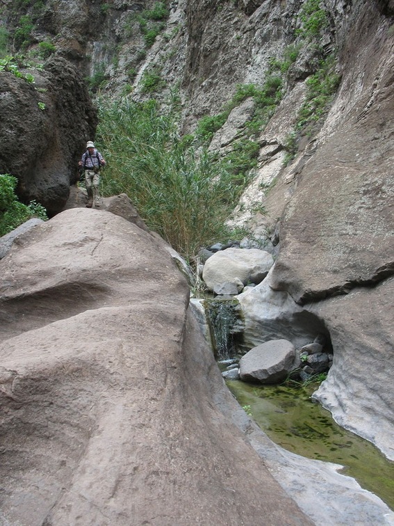 Остров Тенерифе