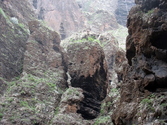 Остров Тенерифе