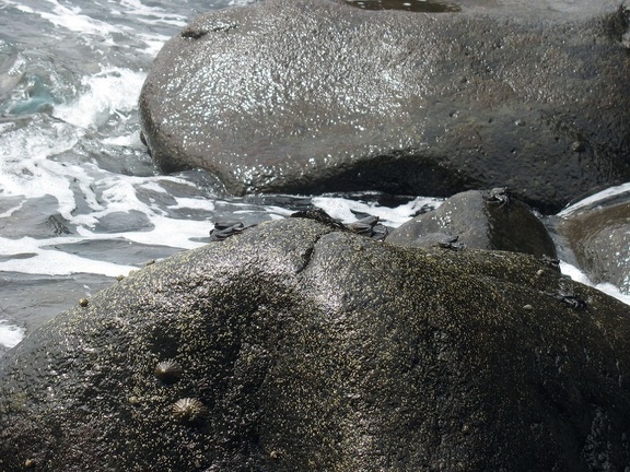 Остров Тенерифе