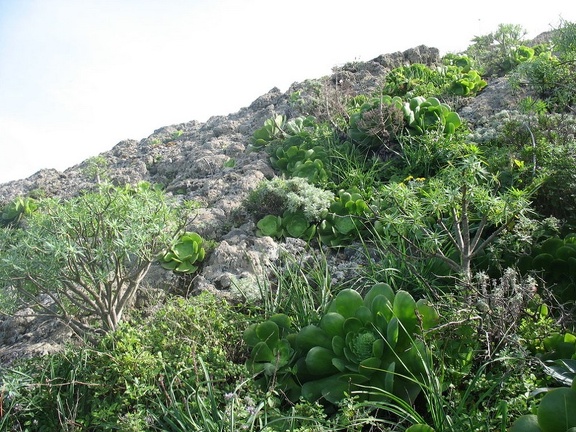 Остров Тенерифе