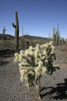 Поездка Олега Ковтуна (Украина) и Сергея Демо (США) в ноябре 2009