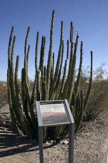 Поездка Олега Ковтуна (Украина) и Сергея Демо (США) в ноябре 2009