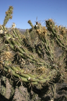 Поездка Олега Ковтуна (Украина) и Сергея Демо (США) в ноябре 2009