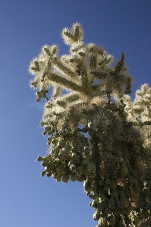 Поездка Олега Ковтуна (Украина) и Сергея Демо (США) в ноябре 2009