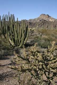 Поездка Олега Ковтуна (Украина) и Сергея Демо (США) в ноябре 2009