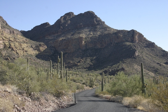 Поездка Олега Ковтуна (Украина) и Сергея Демо (США) в ноябре 2009