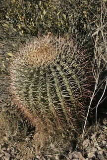 Поездка Олега Ковтуна (Украина) и Сергея Демо (США) в ноябре 2009