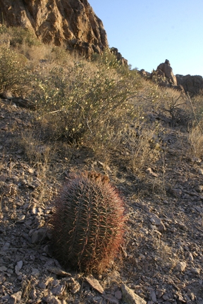 Поездка Олега Ковтуна (Украина) и Сергея Демо (США) в ноябре 2009