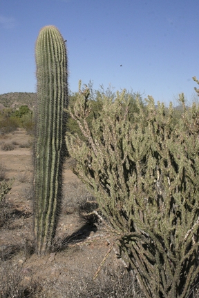 Поездка Олега Ковтуна (Украина) и Сергея Демо (США) в ноябре 2009