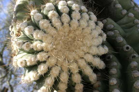 Поездка Олега Ковтуна (Украина) и Сергея Демо (США) в ноябре 2009