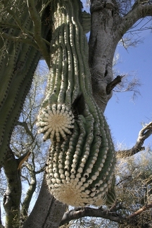 Поездка Олега Ковтуна (Украина) и Сергея Демо (США) в ноябре 2009