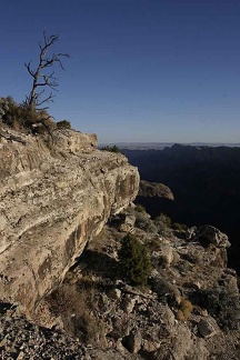 Поездка Олега Ковтуна (Украина) и Сергея Демо (США) в ноябре 2009