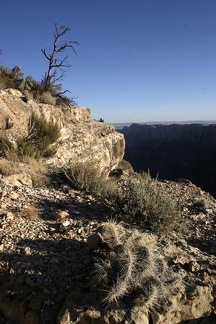 Поездка Олега Ковтуна (Украина) и Сергея Демо (США) в ноябре 2009