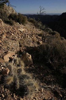 Поездка Олега Ковтуна (Украина) и Сергея Демо (США) в ноябре 2009