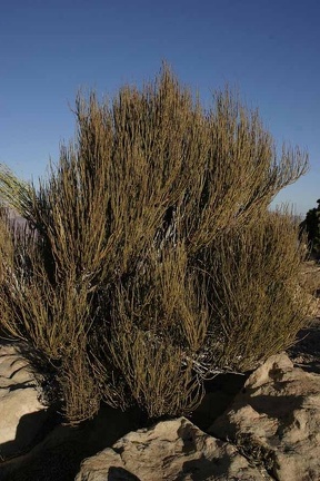 Поездка Олега Ковтуна (Украина) и Сергея Демо (США) в ноябре 2009