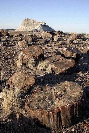 Поездка Олега Ковтуна (Украина) и Сергея Демо (США) в ноябре 2009