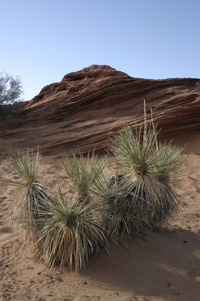 Поездка Олега Ковтуна (Украина) и Сергея Демо (США) в ноябре 2009