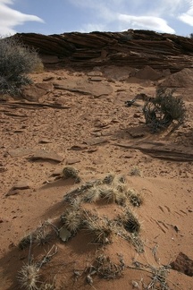 Поездка Олега Ковтуна (Украина) и Сергея Демо (США) в ноябре 2009