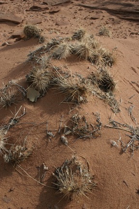 Поездка Олега Ковтуна (Украина) и Сергея Демо (США) в ноябре 2009