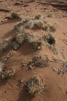 Поездка Олега Ковтуна (Украина) и Сергея Демо (США) в ноябре 2009