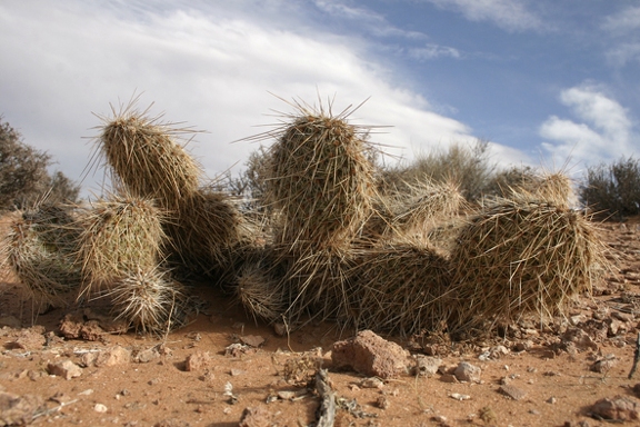 Поездка Олега Ковтуна (Украина) и Сергея Демо (США) в ноябре 2009