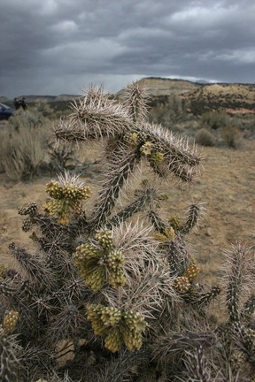 Поездка Олега Ковтуна (Украина) и Сергея Демо (США) в ноябре 2009