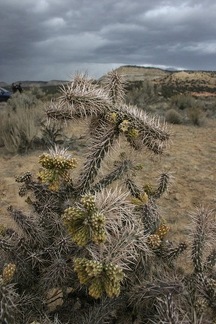 Поездка Олега Ковтуна (Украина) и Сергея Демо (США) в ноябре 2009
