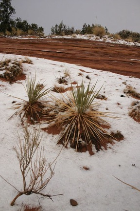 Поездка Олега Ковтуна (Украина) и Сергея Демо (США) в ноябре 2009