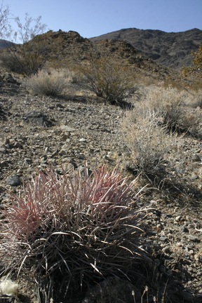 Поездка Олега Ковтуна (Украина) и Сергея Демо (США) в ноябре 2009