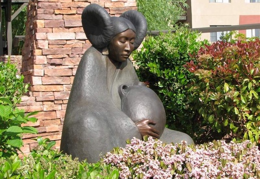 Аризона (США), 2009