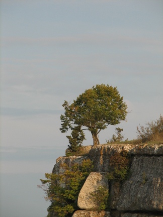 Поездка украинских кактусоводов в Крым, сентябрь 2008