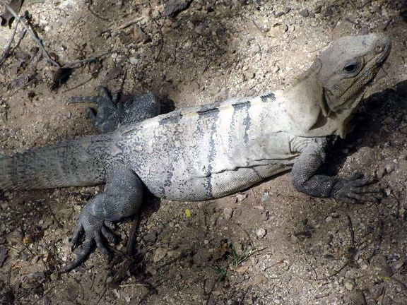 Поездка Оксаны Руденко в Мексику, июнь 2010