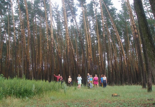 Поход на байдарках по р.Сейм, июль 2009 (2711 відвідувань) Сам лес
Фото Е. Ивановой (Киев) Поход на байдарках по р.Сейм, июль 2009