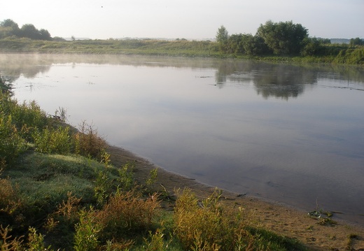 Поход на байдарках по р.Сейм, июль 2009 (3500 відвідувань) В тени вода парует
Фото Е. Ивановой (Киев) Поход на байдарках по р.Сейм, июль 2009