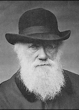 Charles Darwin 1880.jpg