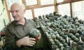 Мініатюра для версії від 11:17, 28 березня 2011