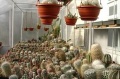 Мініатюра для версії від 11:19, 28 березня 2011