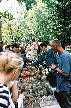 КИЕВСКИЕ ВЫСТАВКИ В БОТСАДУ ФОМИНА | 1